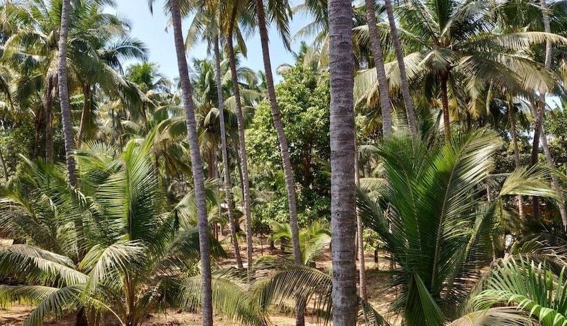 Whistling Bamboos Apartment