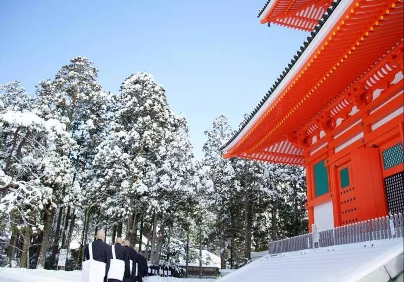 Majatalo 高野山 宿坊 恵光院  Koyasan Syukubo Ekoin Temple