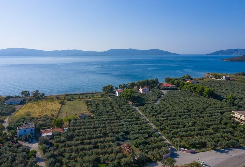 ペンション Makis Inn Resort