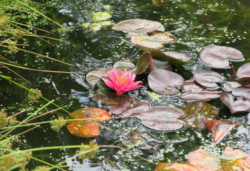 Отель Agriturismo Casamela