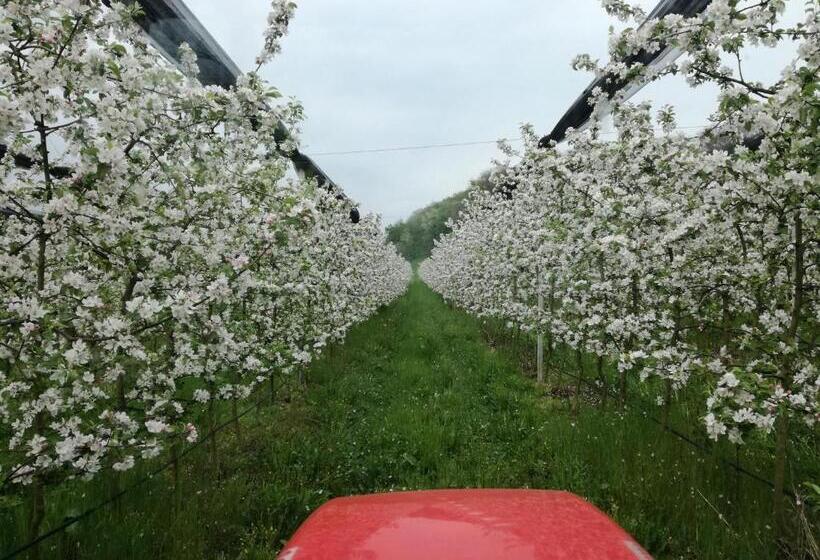 Отель Agriturismo Casamela