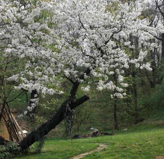 Отель Agriturismo Casamela