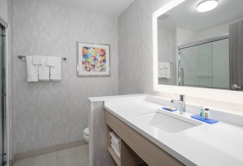 בית מלון כפרי Holiday Inn Express & Suites   Denver Ne   Brighton, An Ihg