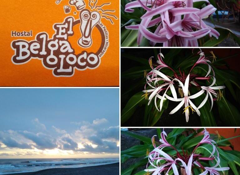 مسافرخانه El Belga Loco