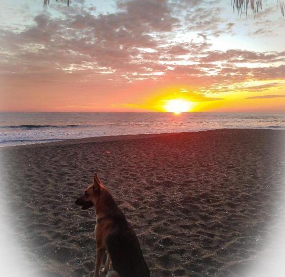 مسافرخانه El Belga Loco