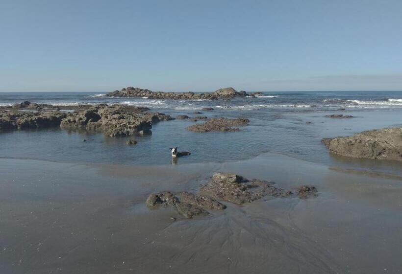 مسافرخانه El Belga Loco