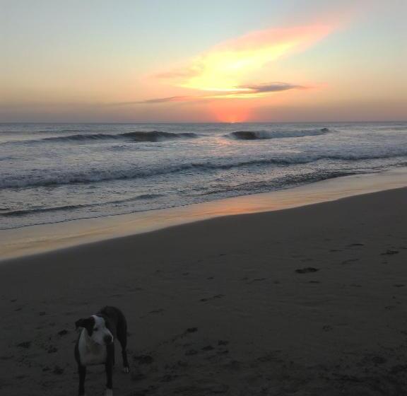 مسافرخانه El Belga Loco