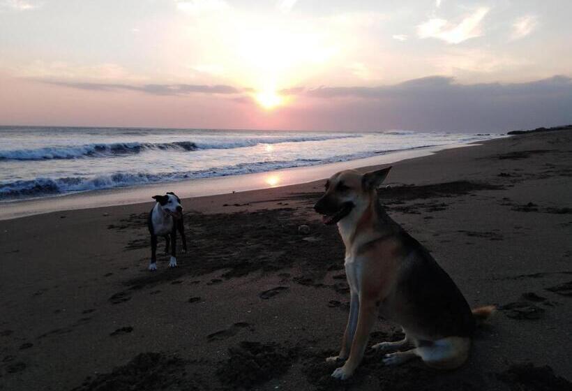 مسافرخانه El Belga Loco