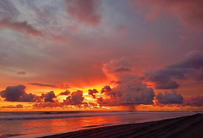 مسافرخانه El Belga Loco