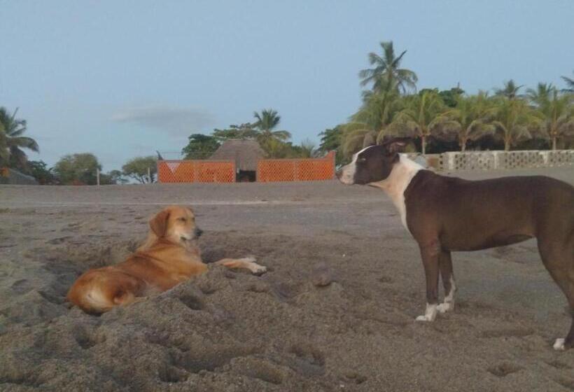 مسافرخانه El Belga Loco