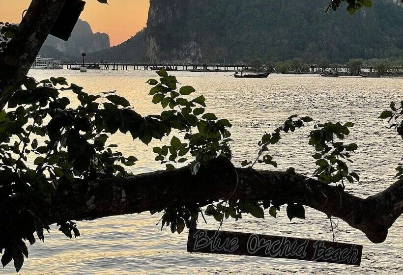 فندق Blue Orchid Beach Krabi Sha Certified