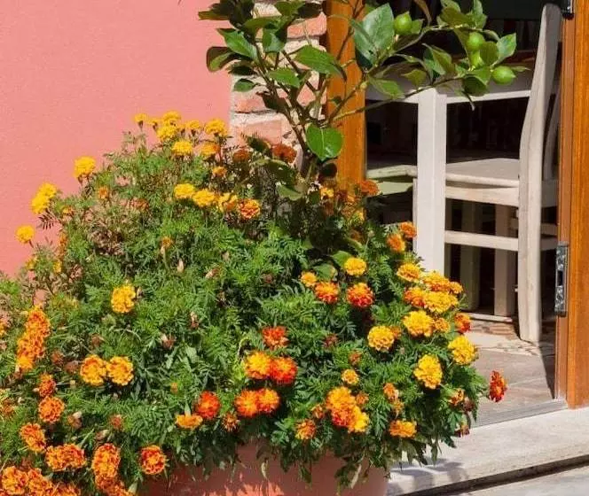 El Campo De Petra  Hostel