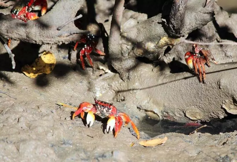 Hotelli Itaparica Praia