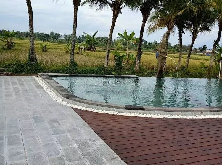 Mas Village Resort