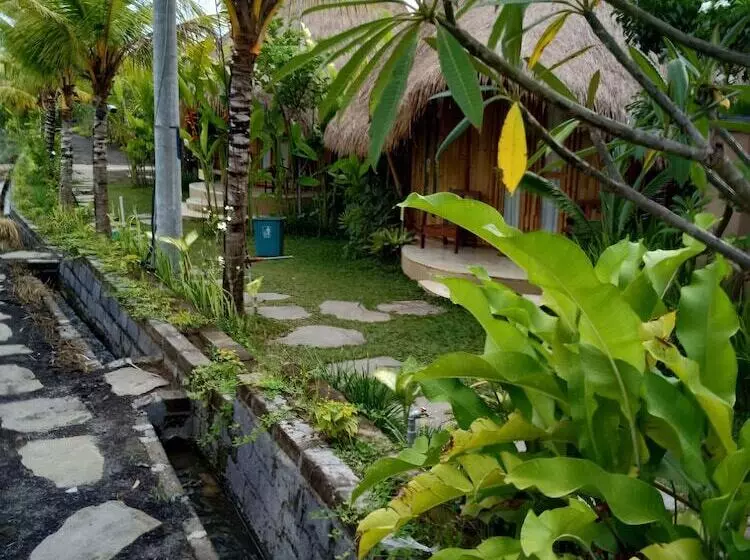 Mas Village Resort