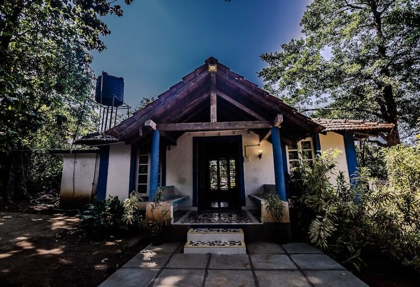 Oyo Home 19186 Antique 1bhk