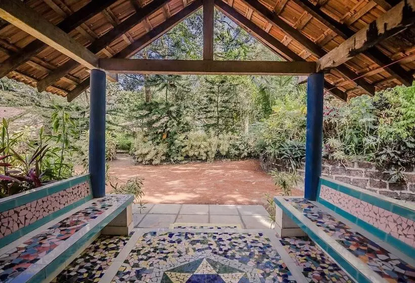 Oyo Home 19186 Antique 1bhk