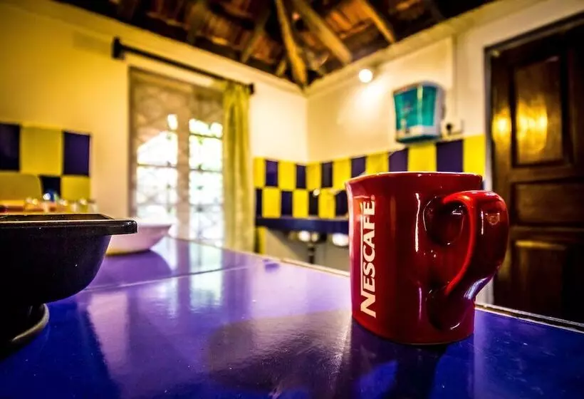 Oyo Home 19186 Antique 1bhk