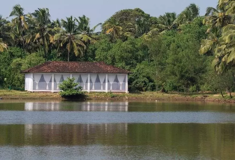 The Whispering Lake Resorts