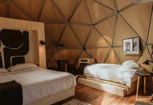 Hostel Big Bang Nature Stays