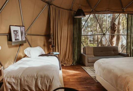 Hostel Big Bang Nature Stays