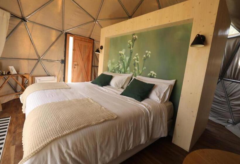 Hostel Big Bang Nature Stays