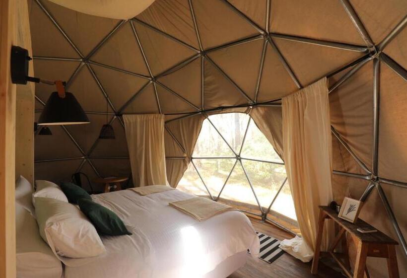 Hostel Big Bang Nature Stays