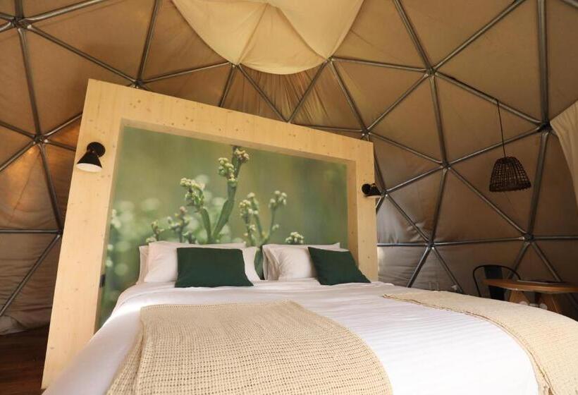 Hostel Big Bang Nature Stays