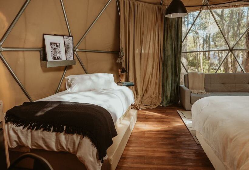 Hostel Big Bang Nature Stays