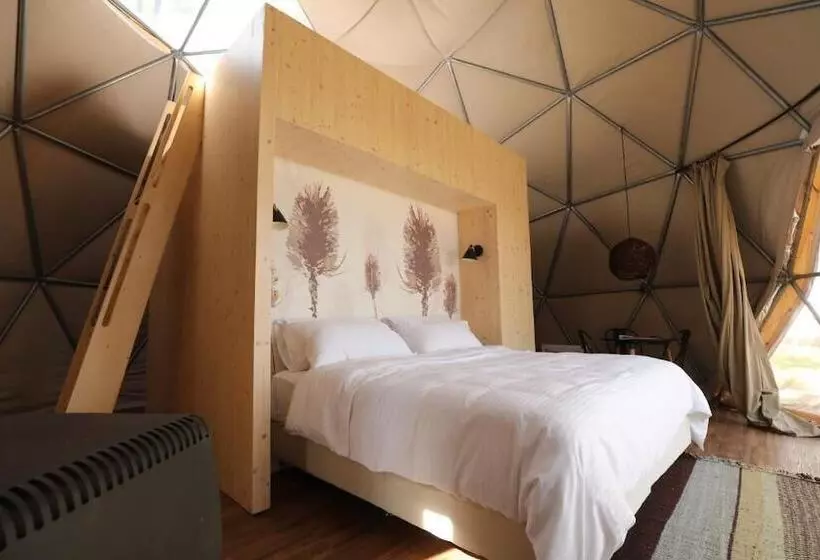 هاستل Big Bang Nature Stays