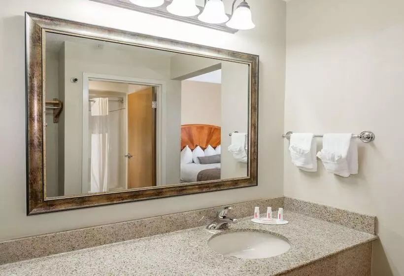 ホテル Baymont By Wyndham Asheville/biltmore