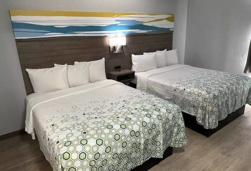 酒店 Red Roof Inn Flint