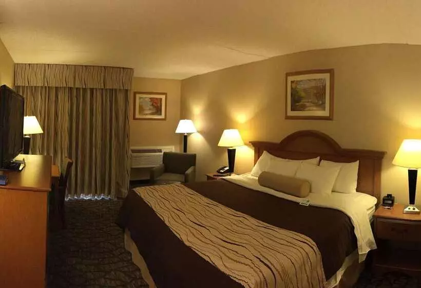 酒店 Best Western Clifton Park