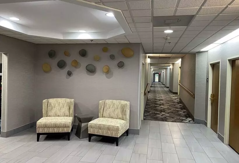 酒店 Best Western Executive Inn & Suites