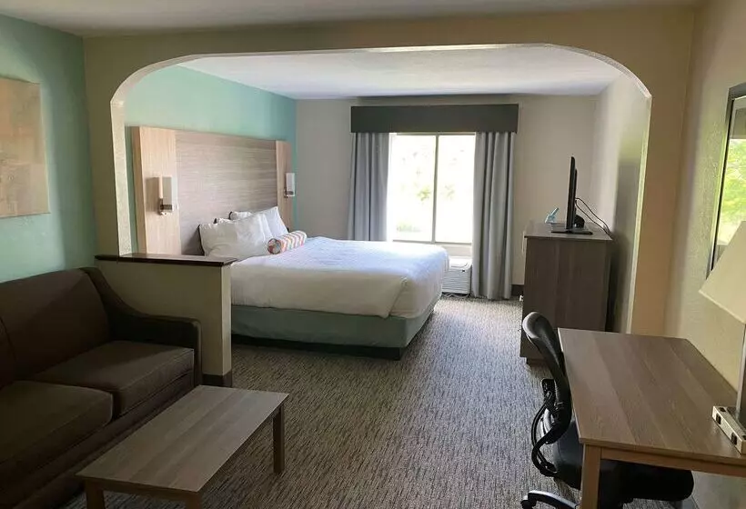 酒店 Best Western Executive Inn & Suites