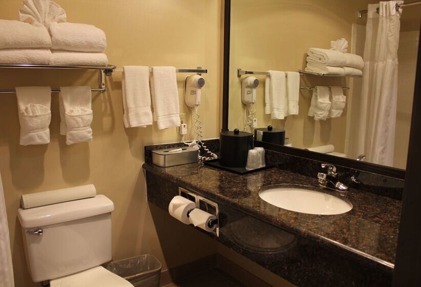 ホテル Best Western Sky Valley Inn