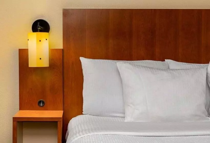 酒店 Spark By Hilton Savannah Midtown