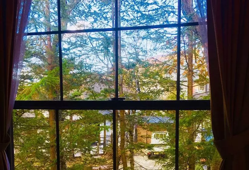 簡易ホテル Shirakabako Sakaeen