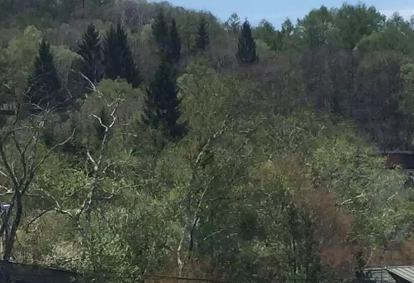 簡易ホテル Shirakabako Sakaeen