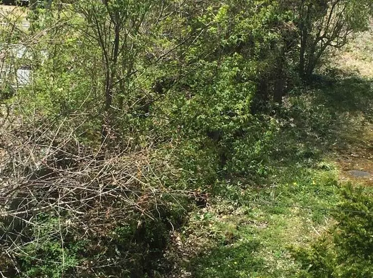 簡易ホテル Shirakabako Sakaeen