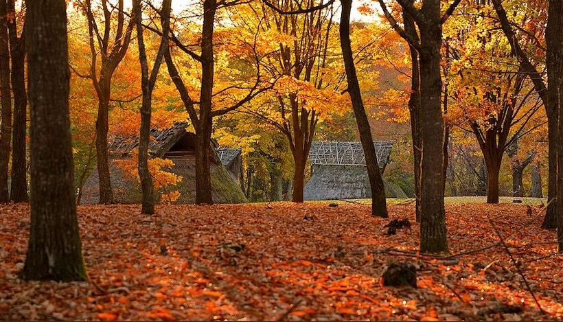 Hostel Shirakabako Sakaeen
