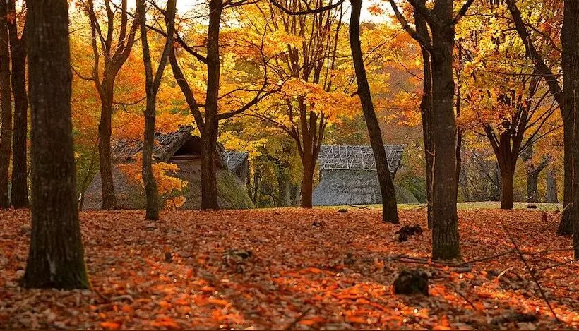 簡易ホテル Shirakabako Sakaeen