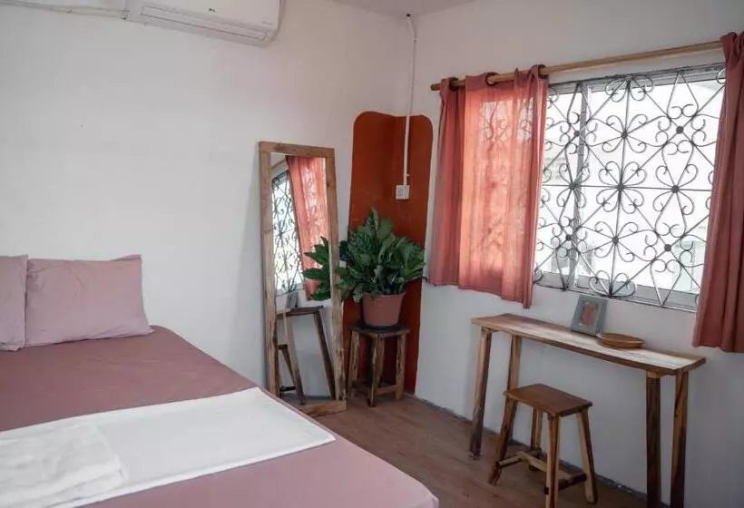 پانسیون Sacred Lotus   Vegan Café X Hostel