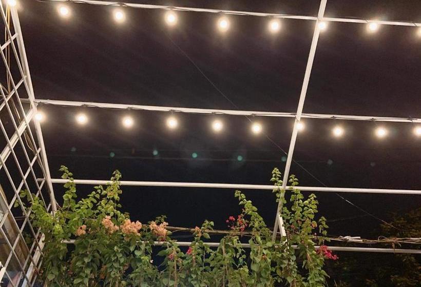 تختخواب و صبحانه Vancao Green Homestay