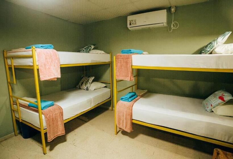 פנסיון Hostal & Café Travelers