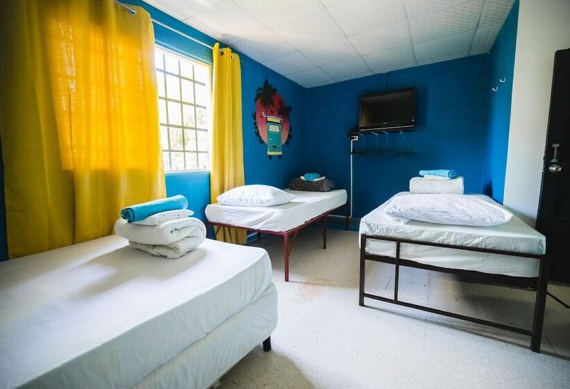 פנסיון Hostal & Café Travelers