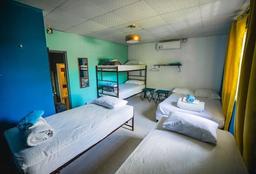 פנסיון Hostal & Café Travelers