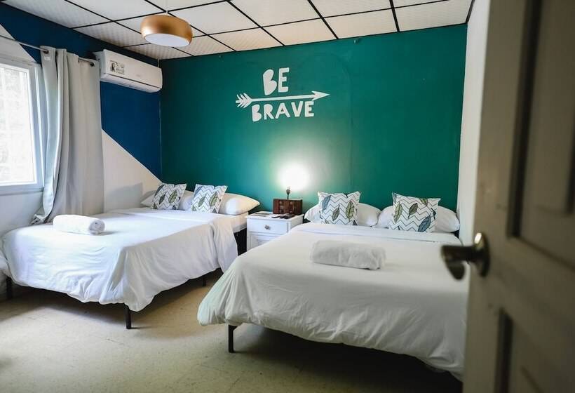 פנסיון Hostal & Café Travelers