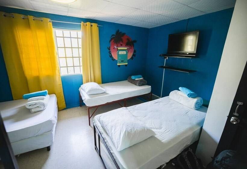 פנסיון Hostal & Café Travelers