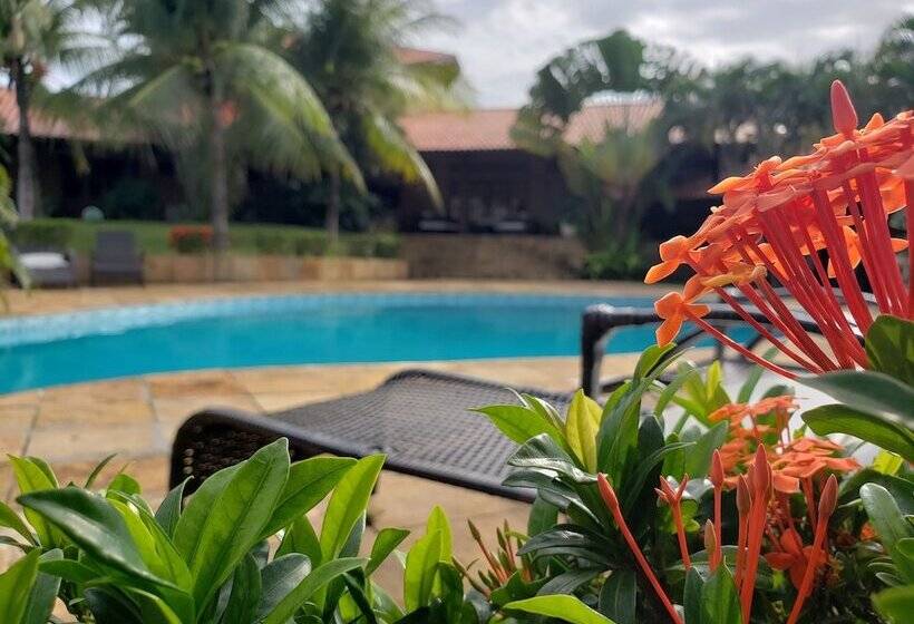 ペンション Kiwi Pousada & Lounge